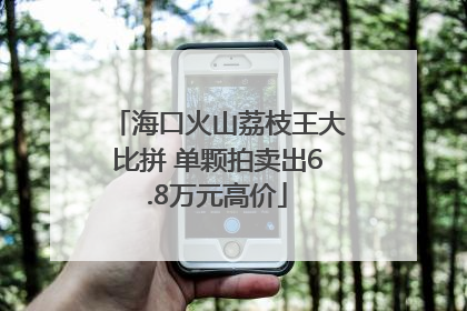 海口火山荔枝王大比拼 单颗拍卖出6.8万元高价