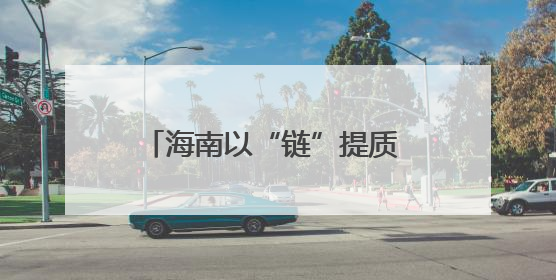 海南以“链”提质 释放农业发展新动能