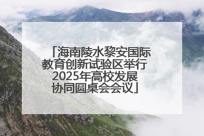 海南陵水黎安国际教育创新试验区举行2025年高校发展协同圆桌会会议