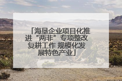 海垦企业项目化推进“两非”专项整改复耕工作 规模化发展特色产业