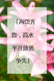 海岱齐鲁，高水平开放勇争先