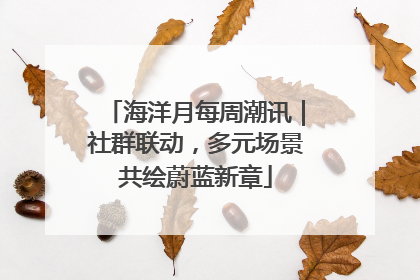 海洋月每周潮讯｜社群联动，多元场景共绘蔚蓝新章