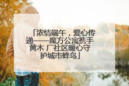 浓情端午，爱心传递——魔方公寓携手黄木 厂社区暖心守护城市蜂鸟