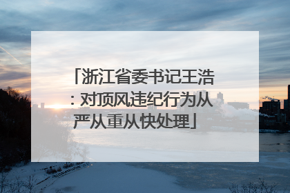 浙江省委书记王浩：对顶风违纪行为从严从重从快处理