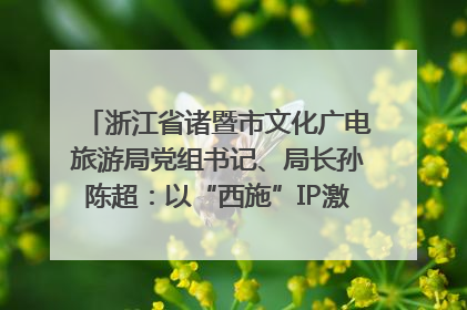 浙江省诸暨市文化广电旅游局党组书记、局长孙陈超：以“西施”IP激活全域旅游 打造县域文旅融合新标杆｜第七届全国县域旅游研究成果发布系列活动