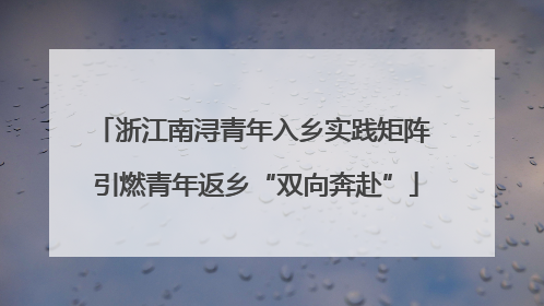 浙江南浔青年入乡实践矩阵 引燃青年返乡“双向奔赴”