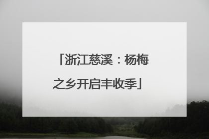 浙江慈溪：杨梅之乡开启丰收季