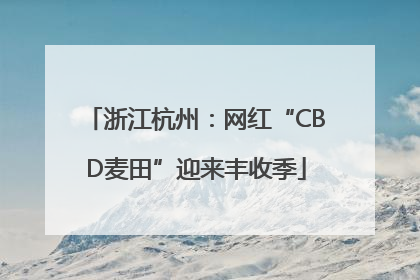 浙江杭州：网红“CBD麦田”迎来丰收季