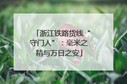 浙江铁路货线“守门人”：毫米之精与万日之安