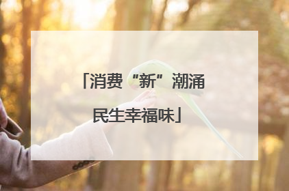 消费“新”潮涌 民生幸福味