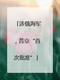 涉俄海军，普京“首次批准”