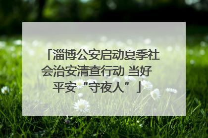 淄博公安启动夏季社会治安清查行动 当好平安“守夜人”