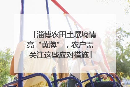 淄博农田土壤墒情亮“黄牌”，农户需关注这些应对措施