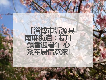 淄博市沂源县南麻街道：粽叶飘香迎端午 心系军属情意浓