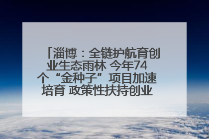 淄博：全链护航育创业生态雨林 今年74个“金种子”项目加速培育 政策性扶持创业9754人