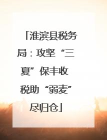淮滨县税务局：攻坚“三夏”保丰收 税助“弱麦”尽归仓