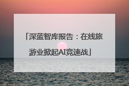深蓝智库报告：在线旅游业掀起AI竞速战