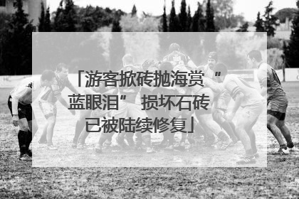 游客掀砖抛海赏“蓝眼泪” 损坏石砖已被陆续修复