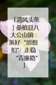 清风头条｜桑植县八大公山镇：系好“思想扣” 走稳“青廉路”