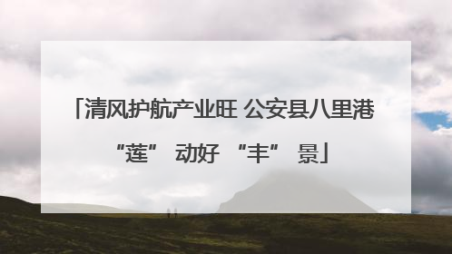 清风护航产业旺 公安县八里港 “莲” 动好 “丰” 景