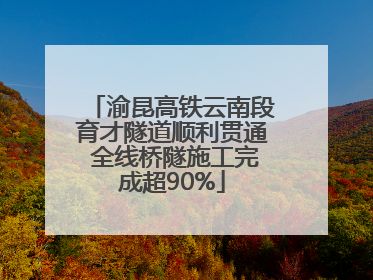 渝昆高铁云南段育才隧道顺利贯通 全线桥隧施工完成超90%