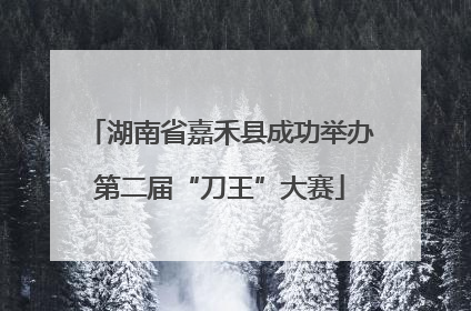 湖南省嘉禾县成功举办第二届“刀王”大赛