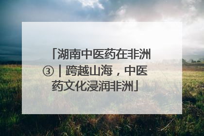 湖南中医药在非洲③｜跨越山海，中医药文化浸润非洲