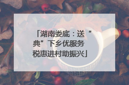 湖南娄底：送“典”下乡优服务 税惠进村助振兴