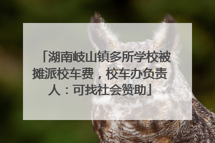 湖南岐山镇多所学校被摊派校车费，校车办负责人：可找社会赞助