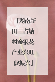 湖南新田三占塘村金银花产业兴旺促振兴