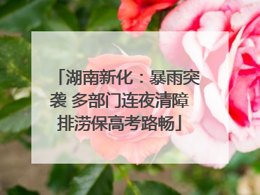 湖南新化：暴雨突袭 多部门连夜清障排涝保高考路畅