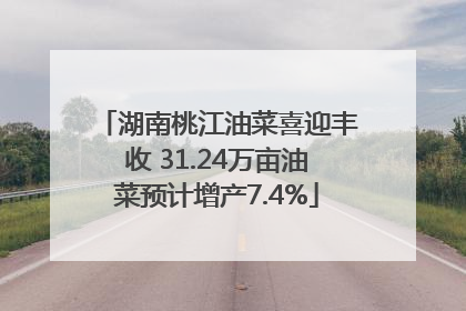 湖南桃江油菜喜迎丰收 31.24万亩油菜预计增产7.4%