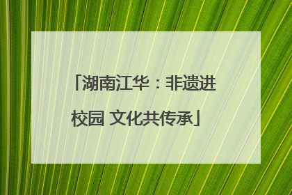 湖南江华：非遗进校园 文化共传承