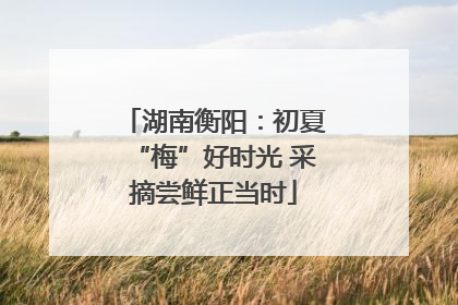 湖南衡阳：初夏“梅”好时光 采摘尝鲜正当时