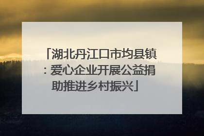 湖北丹江口市均县镇：爱心企业开展公益捐助推进乡村振兴