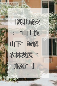 湖北咸安：“山上换山下”破解农林发展“瓶颈”