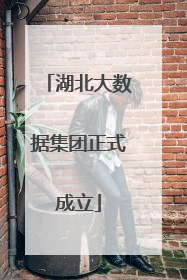 湖北大数据集团正式成立