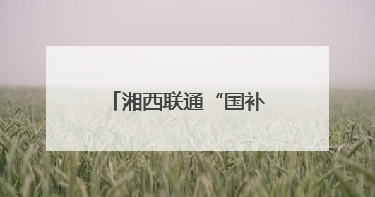 湘西联通“国补进村”让数字化红利惠及乡村