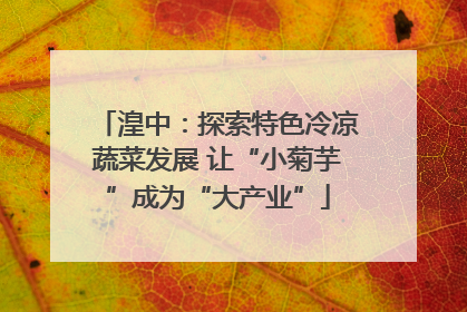 湟中：探索特色冷凉蔬菜发展 让“小菊芋”成为“大产业”