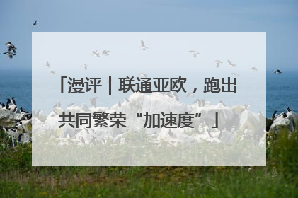 漫评｜联通亚欧，跑出共同繁荣“加速度”