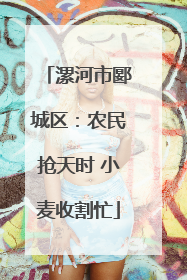 漯河市郾城区：农民抢天时 小麦收割忙