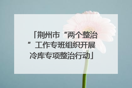 荆州市“两个整治”工作专班组织开展冷库专项整治行动