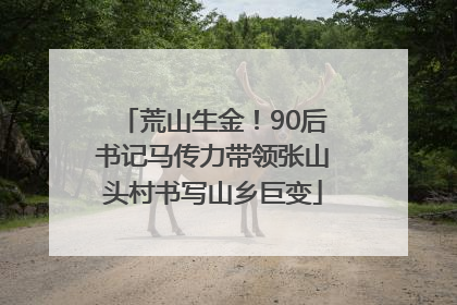 荒山生金！90后书记马传力带领张山头村书写山乡巨变