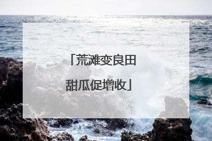 荒滩变良田 甜瓜促增收