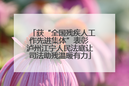 获“全国残疾人工作先进集体”表彰 泸州江宁人民法庭让司法助残温暖有力
