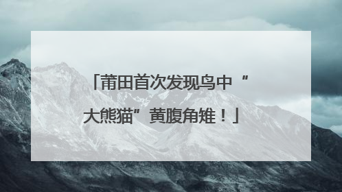莆田首次发现鸟中“大熊猫”黄腹角雉！