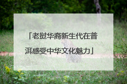 老挝华裔新生代在普洱感受中华文化魅力