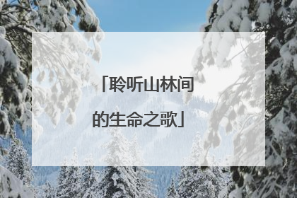 聆听山林间的生命之歌