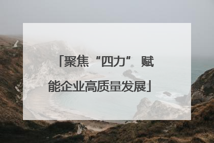 聚焦“四力” 赋能企业高质量发展