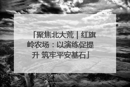 聚焦北大荒｜红旗岭农场：以演练促提升 筑牢平安基石
